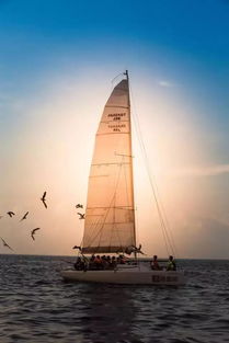 大連跨海大橋從哪到哪，金銀山向西跨越星海灣在填海區域登陸