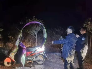 寧桓宇家境如何，家境比較殷實(shí)