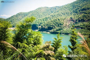 安吉有什么好玩的景點,靈峰山森林公園、凱蒂貓家園、吳昌碩紀念館