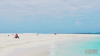 富饒的西沙群島課文,一帶海水五光十色瑰麗無比