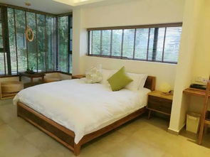 小烏飛到家里好嗎，代表著其把財(cái)運(yùn)帶到了你的家中