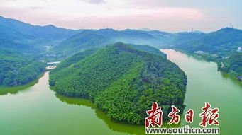 廣州哪里可以釣魚,在筲箕窩水庫、海珠湖公園、流溪河野釣點