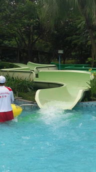 廣州好玩的景點(diǎn)排名,水上樂園、鱷魚公園等