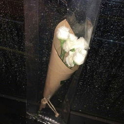 怎樣的人生才配得上這一路的顛沛流離，只有經(jīng)歷了苦難的磨礪