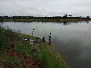 成都哪里可以釣魚, 在黑龍灘水庫可以釣魚