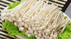 怎么培育金針菇,栽培分為發菌、出菇兩大步