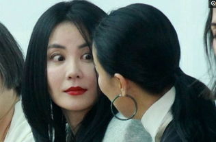 李亞鵬王菲怎么認識的，通過那英于2003年認識