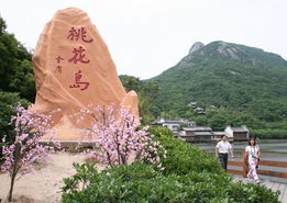 桃花島風景區在哪里,位于舟山市門南