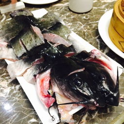 梭邊魚是什么魚，梭邊魚就是指鉗魚