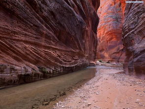 沉積巖的形成過程，在厭氧的環境條件下，使有機質腐爛分解