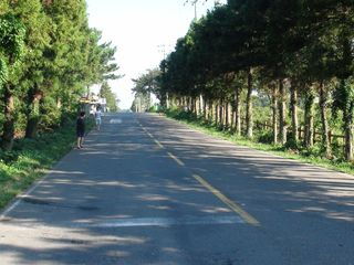 濟州島是哪個國家，是韓國第一大島屬于濟州特別自治道管轄