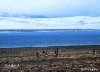 海拔最高的湖,是內(nèi)瓦德的埃爾薩拉多湖