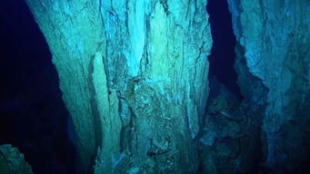 海溝族為什么退化，入海里之后為了適應環境退化了