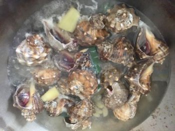 海螺蒸多久才熟，一般必須煮十二分鐘時間不能夠過短