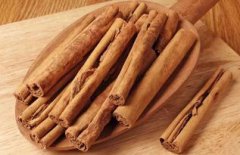 桂皮是什么樹的皮,為樟科植物天竺桂、川桂等的樹皮