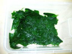 水晶蝦吃什么，主要吃素例如苔蘚、水藻、水草