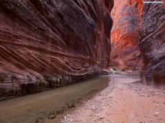 沉積巖的形成過程,在厭氧的環境條件下,使有機質腐爛分解