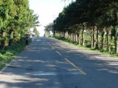 濟(jì)州島是哪個(gè)國(guó)家,是韓國(guó)第一大島屬于濟(jì)州特別自治道管轄