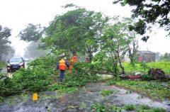 海南歷史上最大的臺風，2014年第9號臺風威馬遜