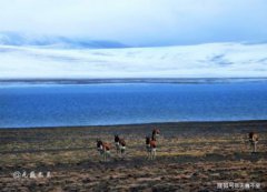 海拔最高的湖,是內瓦德的埃爾薩拉多湖