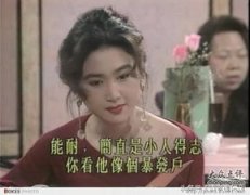 溫碧霞溫兆倫羅嘉良一起主演的電視,主演的電視《火玫瑰》