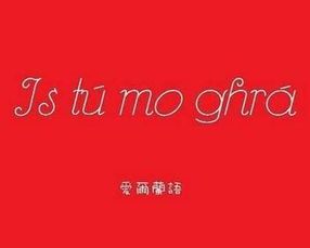 愛爾蘭說什么語言,愛爾蘭人說的是愛爾蘭語、英語