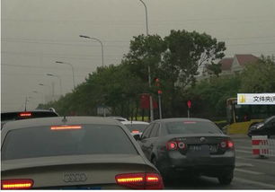 猞猁可以養(yǎng)嗎,不可以私自飼養(yǎng)