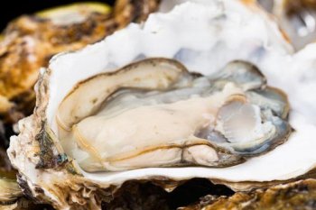 生蠔蒸多長時間最好吃，蒸10~15分鐘左右時間