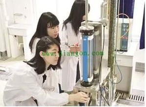 電氣工程師的年薪多少，年薪都是在20萬左右