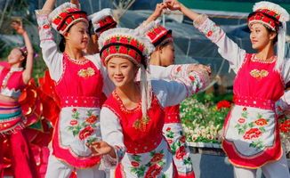 白族的傳統(tǒng)節(jié)日是，火把節(jié)、三月街（民族節(jié)）、冬至