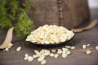 皂角米多少錢一斤，價格大約在280元左右一斤