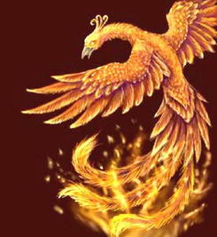 百鳥之王是什么鳥，鳳凰是古代傳說中的百鳥之王