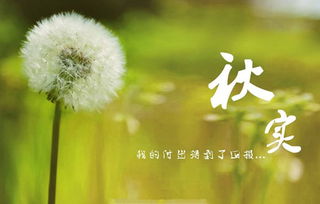 秋天有一個重要的傳統節日是,是中秋節