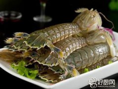 爬蝦蒸多長時間，蒸一般5分鐘味道就會很鮮嫩了