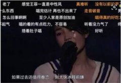 王菲怎么紅的,有高難度高藝術(shù)水平的音作品