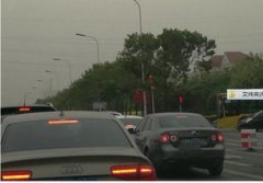 猞猁可以養嗎,不可以私自飼養