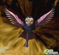 玄鳥是什么鳥,是神話中的鳥類