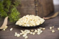 皂角米多少錢一斤,價格大約在280元左右一斤