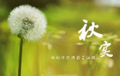 秋天有一個重要的傳統節日是,是中秋節