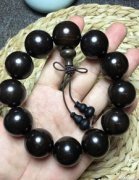 紫金鼠是什么樹的種子,是棕桐樹的種子極像傳說中的招財鼠