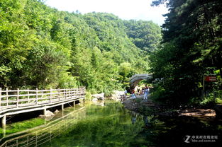 老君山風景區在哪里,坐落于河南的洛陽市欒川縣