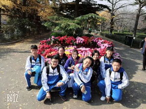 菊花象征著什么，象征著對于逝去親人的思戀