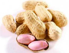 花生芽怎么培育,剝殼后鋪在濕紙巾或者毛巾上面