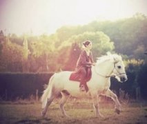 薛平貴是哪個朝代的皇帝，民間傳說中唐朝時期人物