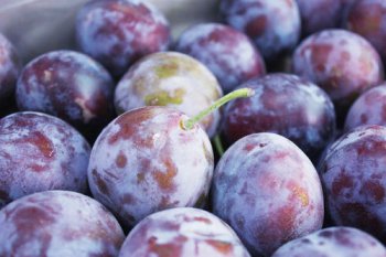 西梅是哪里的特產，都產自于新疆