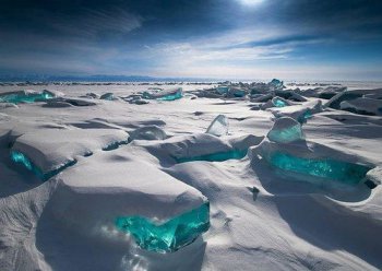 貝加爾湖為什么有海洋生物,因為基因的關聯