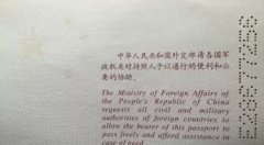 郎平國籍是哪國的,是中國至今還持有中國護照