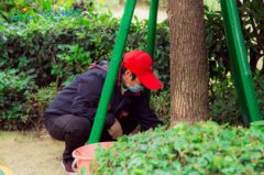 除草是什么季節，夏季和秋季都有