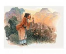 陶淵明是一個怎樣的人,性格耿直,清明廉正