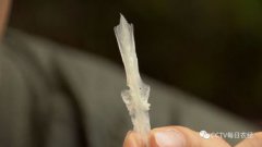 雅魚多少錢一斤，大概50元左右賣到酒店能達到70元一斤